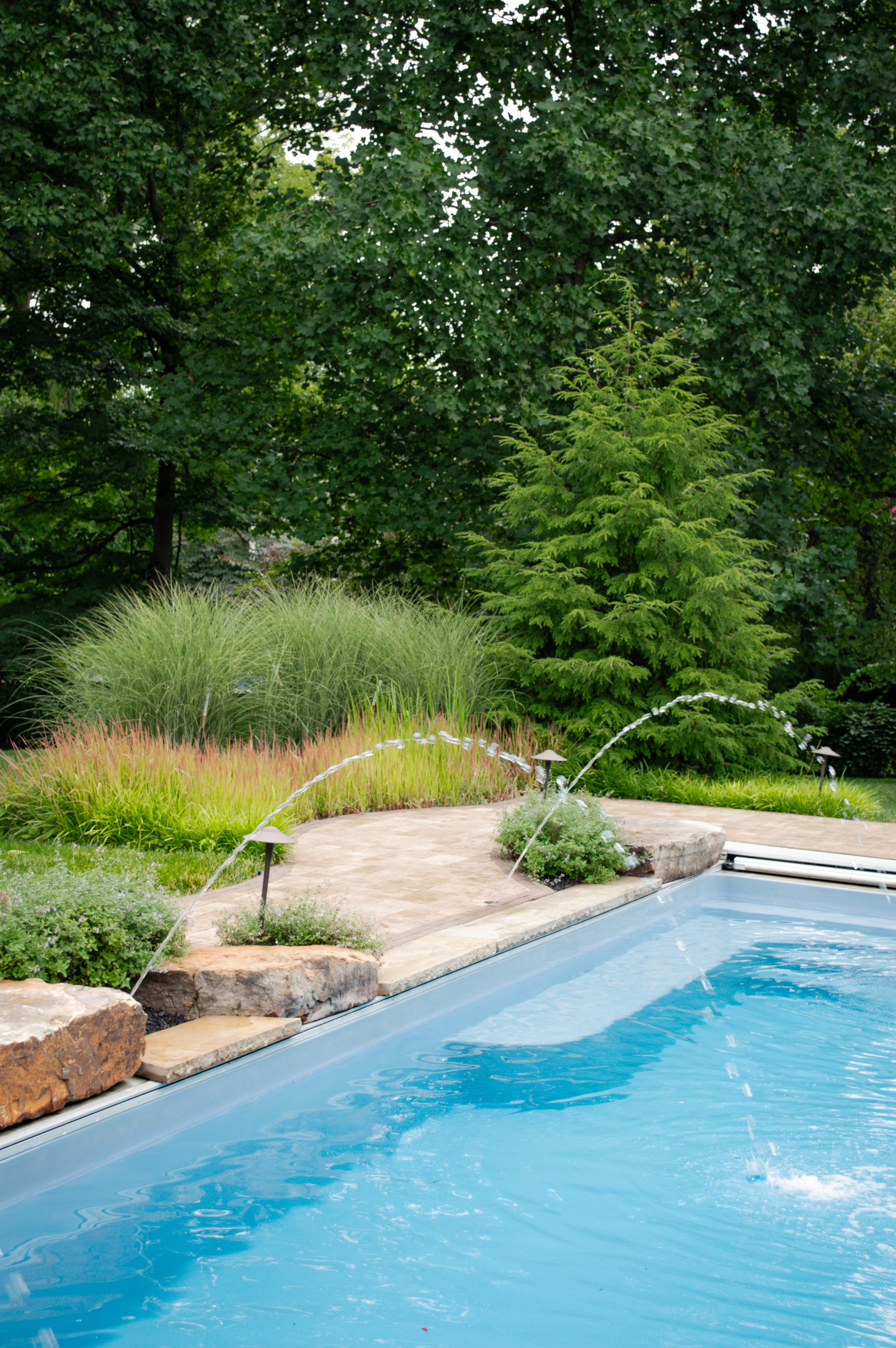 Pool with Landscaping